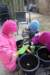 kartoffelplantning_small.jpg