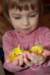 cecilieskyllinger_small.jpg