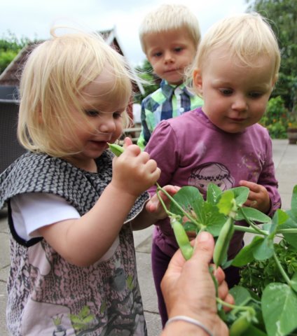 vihsterrter2.jpg