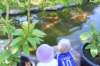 zengarden2_small.jpg