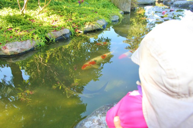 zengarden3.jpg